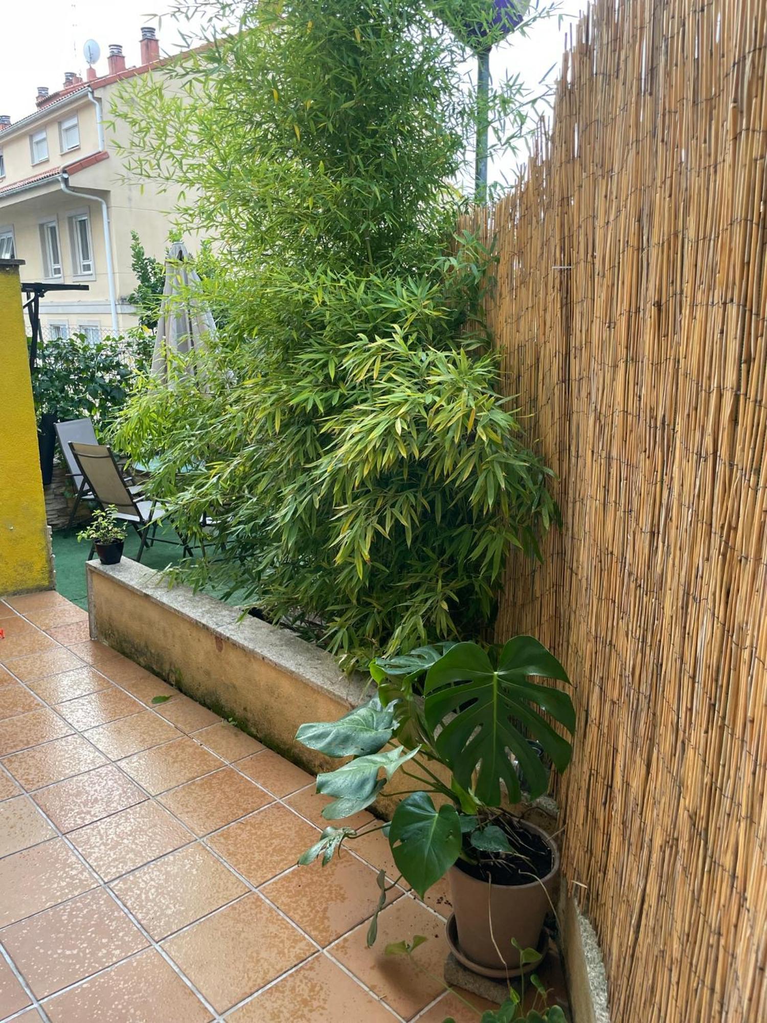 Ecobambu Con Terraza Y Parking En Pontevedra Διαμέρισμα San Salvador de Poio Εξωτερικό φωτογραφία